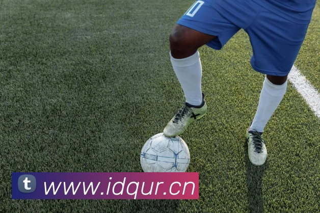 星空体育登录网页版平台生态图